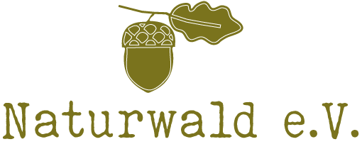 Logo Naturwald e.V. - Zur Startseite