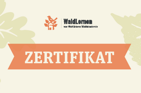 Zertifikatsgrafik der „WaldLernen von Wohllebens Waldakademie“-Initiative mit dem Schriftzug „ZERTIFIKAT“ auf einem orangenen Banner.
