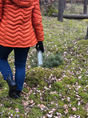 Eine Person in roter Jacke trägt eine leere Glasflasche in der rechten Hand und geht über moosbedeckten Waldboden. Im Hintergrund stehen Bäume und ein umgestürzter Baum liegt am Boden.