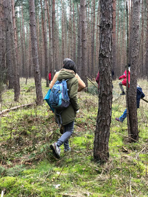 Eine Person mit grünem Parka und blauem Rucksack geht durch einen moosigen Nadelwald. Im Hintergrund sind weitere Personen verteilt, die zwischen den Bäumen über den Waldboden stapfen.