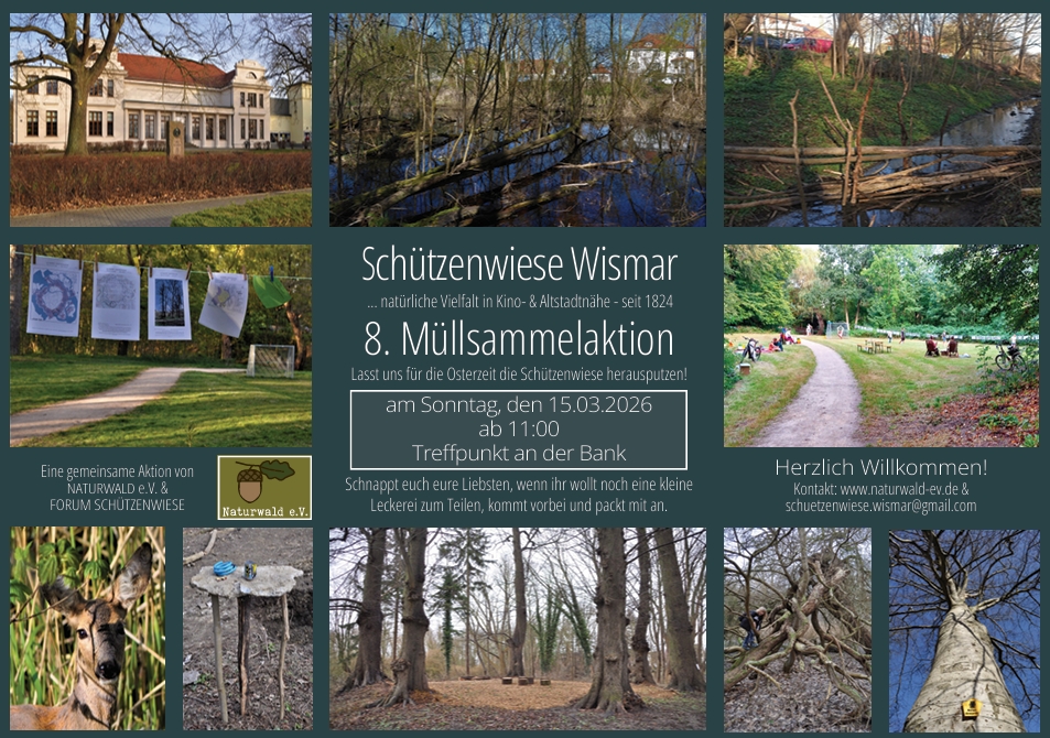 Am 15.03.26 Aufräumaktion in der Wismarer Schützenwiese