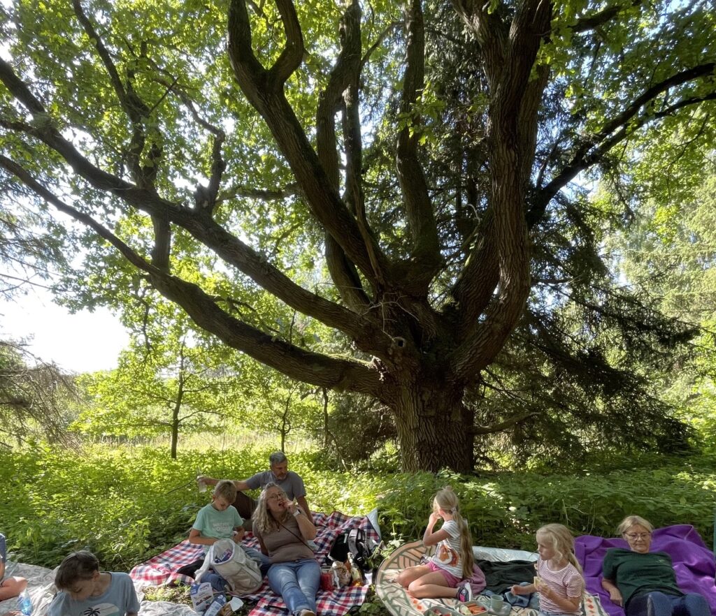 Schon einmal im Wald gebadet?
